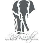 Nsofu Lodge
